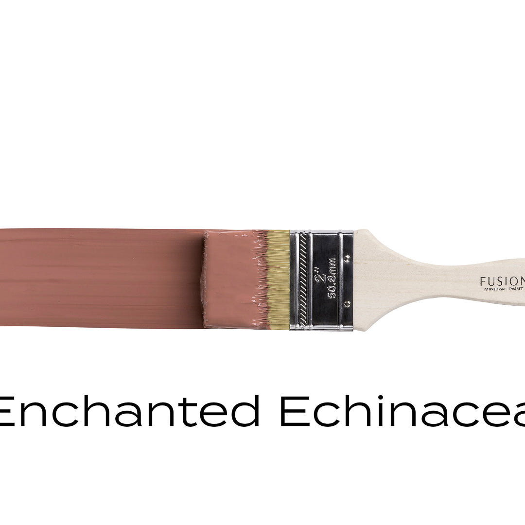 Enchanted Echinacea (Discontinued)