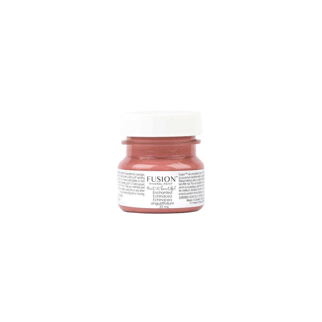 Enchanted Echinacea (Discontinued)