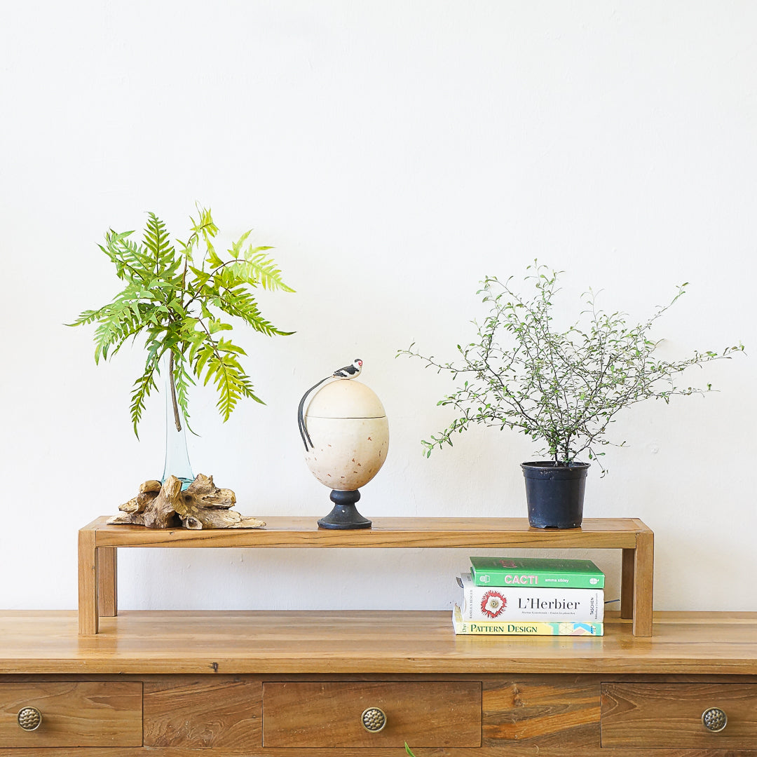teak standing shelf