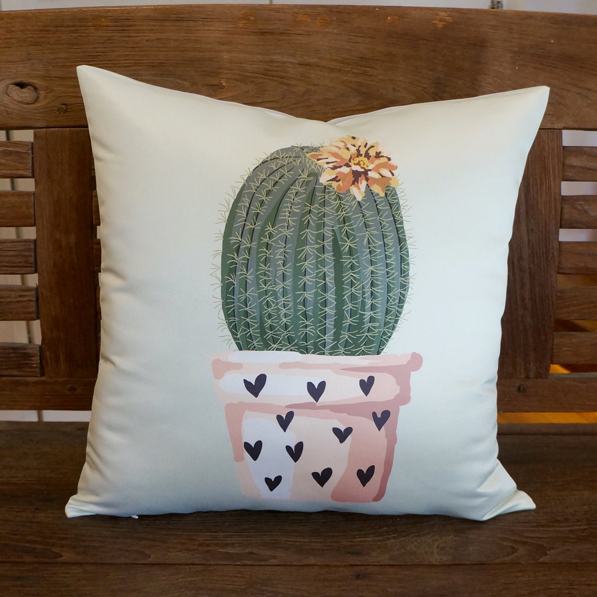 CACTI CUSHIONS