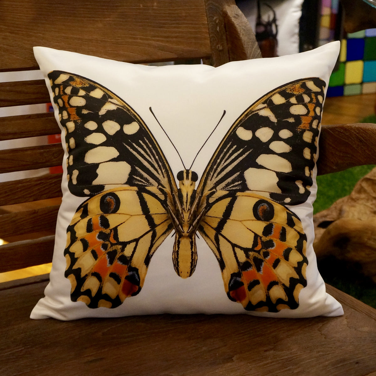 BUTTERFLY CUSHIONS