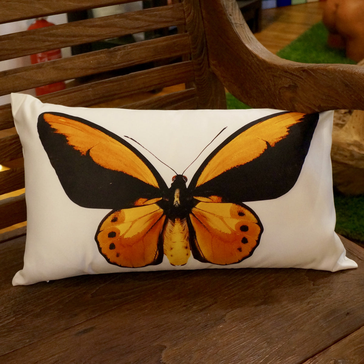 BUTTERFLY CUSHIONS